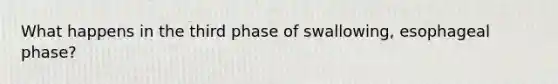 What happens in the third phase of swallowing, esophageal phase?