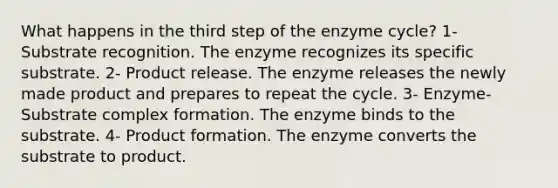 What happens in the third step of the enzyme cycle? 1- Substrate recognition. The enzyme recognizes its specific substrate. 2- Product release. The enzyme releases the newly made product and prepares to repeat the cycle. 3- Enzyme-Substrate complex formation. The enzyme binds to the substrate. 4- Product formation. The enzyme converts the substrate to product.