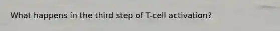 What happens in the third step of T-cell activation?