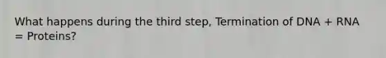 What happens during the third step, Termination of DNA + RNA = Proteins?