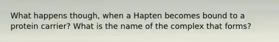 What happens though, when a Hapten becomes bound to a protein carrier? What is the name of the complex that forms?