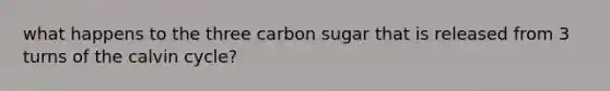 what happens to the three carbon sugar that is released from 3 turns of the calvin cycle?