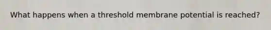 What happens when a threshold membrane potential is reached?