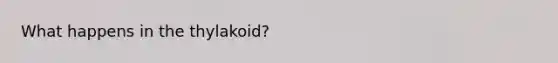 What happens in the thylakoid?