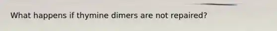 What happens if thymine dimers are not repaired?