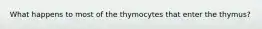 What happens to most of the thymocytes that enter the thymus?