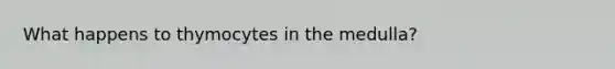 What happens to thymocytes in the medulla?