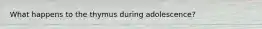 What happens to the thymus during adolescence?