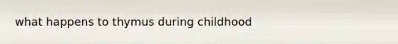 what happens to thymus during childhood