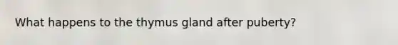 What happens to the thymus gland after puberty?
