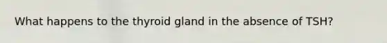 What happens to the thyroid gland in the absence of TSH?