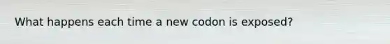 What happens each time a new codon is exposed?