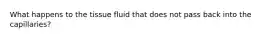 What happens to the tissue fluid that does not pass back into the capillaries?