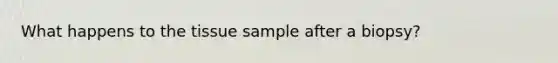 What happens to the tissue sample after a biopsy?