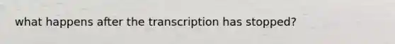 what happens after the transcription has stopped?