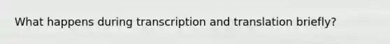 What happens during transcription and translation briefly?