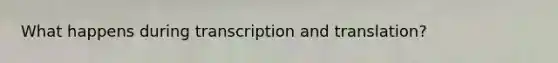 What happens during transcription and translation?