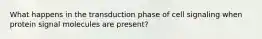 What happens in the transduction phase of cell signaling when protein signal molecules are present?