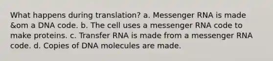 What happens during translation? a. Messenger RNA is made &om a DNA code. b. The cell uses a messenger RNA code to make proteins. c. Transfer RNA is made from a messenger RNA code. d. Copies of DNA molecules are made.