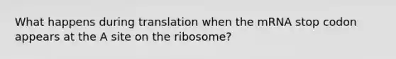 What happens during translation when the mRNA stop codon appears at the A site on the ribosome?