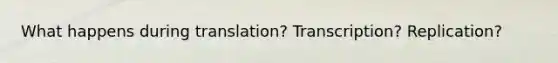 What happens during translation? Transcription? Replication?