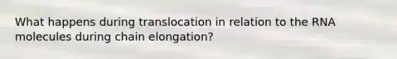 What happens during translocation in relation to the RNA molecules during chain elongation?