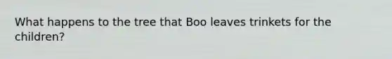 What happens to the tree that Boo leaves trinkets for the children?