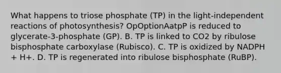 What happens to triose phosphate (TP) in the light-independent reactions of photosynthesis? OpOptionAatpP is reduced to glycerate-3-phosphate (GP). B. TP is linked to CO2 by ribulose bisphosphate carboxylase (Rubisco). C. TP is oxidized by NADPH + H+. D. TP is regenerated into ribulose bisphosphate (RuBP).