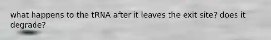 what happens to the tRNA after it leaves the exit site? does it degrade?