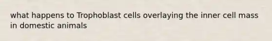 what happens to Trophoblast cells overlaying the inner cell mass in domestic animals