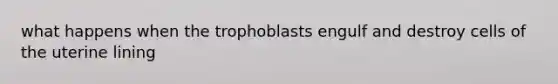 what happens when the trophoblasts engulf and destroy cells of the uterine lining