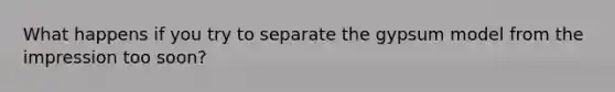 What happens if you try to separate the gypsum model from the impression too soon?