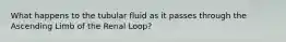 What happens to the tubular fluid as it passes through the Ascending Limb of the Renal Loop?