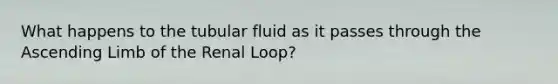 What happens to the tubular fluid as it passes through the Ascending Limb of the Renal Loop?