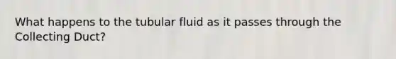 What happens to the tubular fluid as it passes through the Collecting Duct?