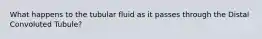 What happens to the tubular fluid as it passes through the Distal Convoluted Tubule?