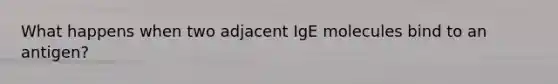 What happens when two adjacent IgE molecules bind to an antigen?