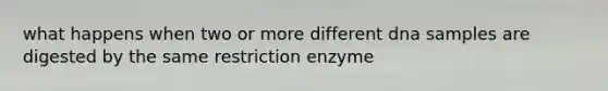 what happens when two or more different dna samples are digested by the same restriction enzyme