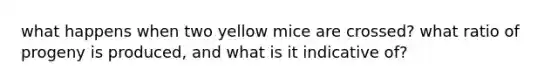 what happens when two yellow mice are crossed? what ratio of progeny is produced, and what is it indicative of?