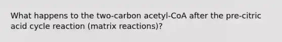 What happens to the two-carbon acetyl-CoA after the pre-citric acid cycle reaction (matrix reactions)?