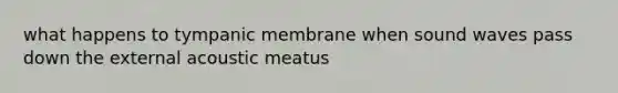 what happens to tympanic membrane when sound waves pass down the external acoustic meatus