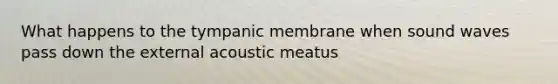 What happens to the tympanic membrane when sound waves pass down the external acoustic meatus