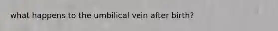 what happens to the umbilical vein after birth?