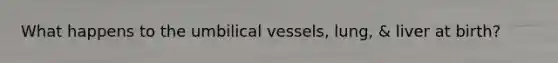 What happens to the umbilical vessels, lung, & liver at birth?