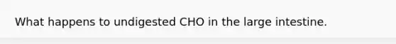 What happens to undigested CHO in the large intestine.