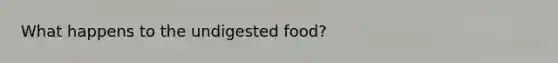 What happens to the undigested food?