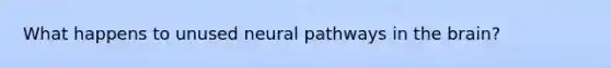 What happens to unused neural pathways in the brain?