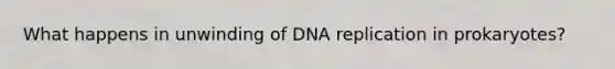 What happens in unwinding of DNA replication in prokaryotes?