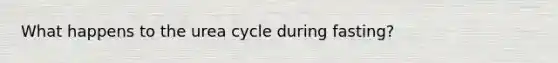 What happens to the urea cycle during fasting?