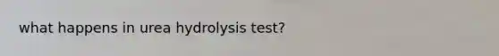 what happens in urea hydrolysis test?